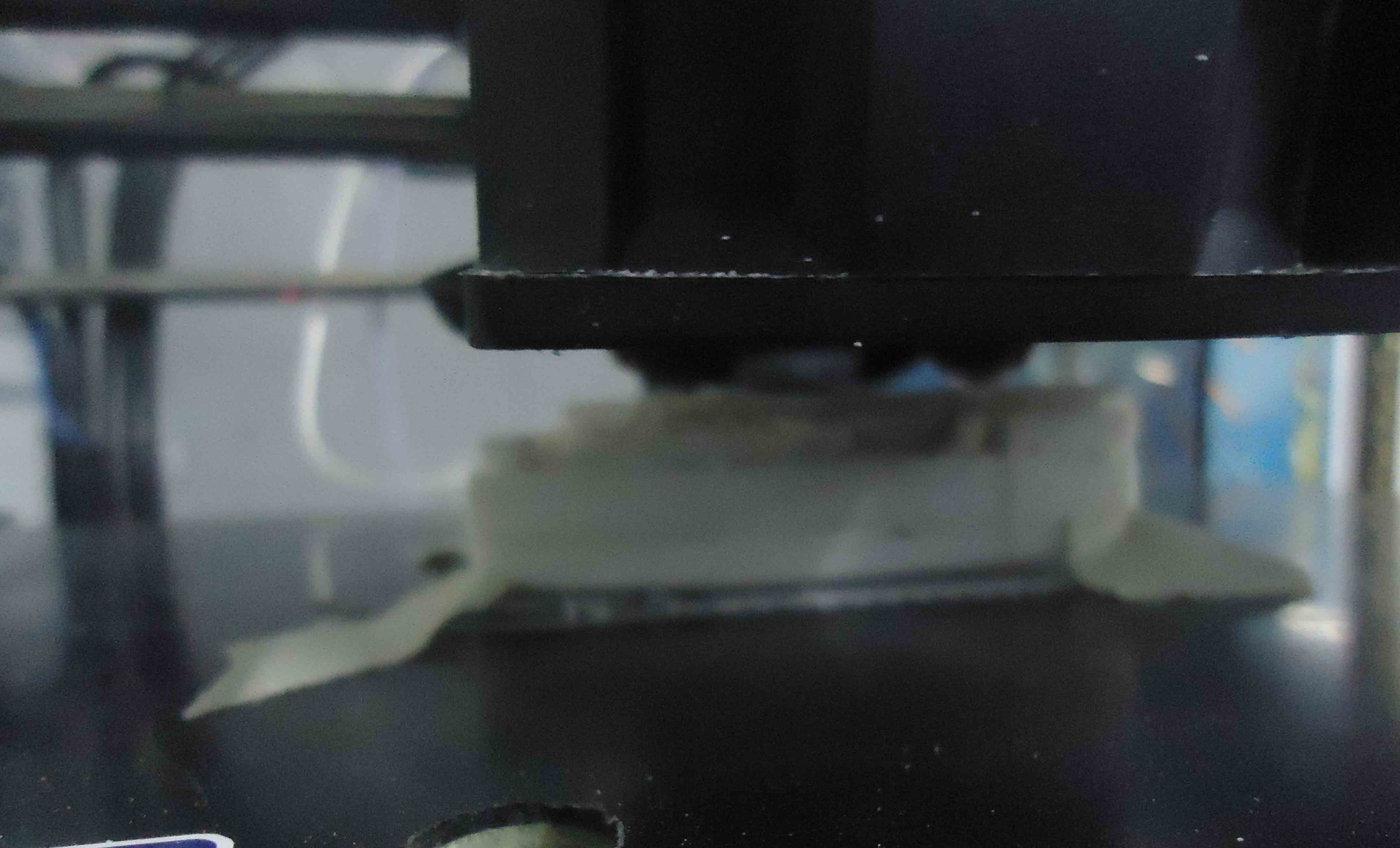 step one scanning